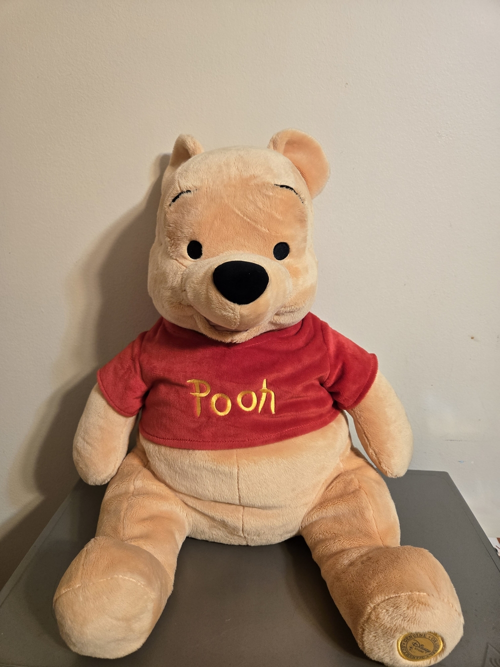Disney Store Winnie The Pooh 22" Plush Toy